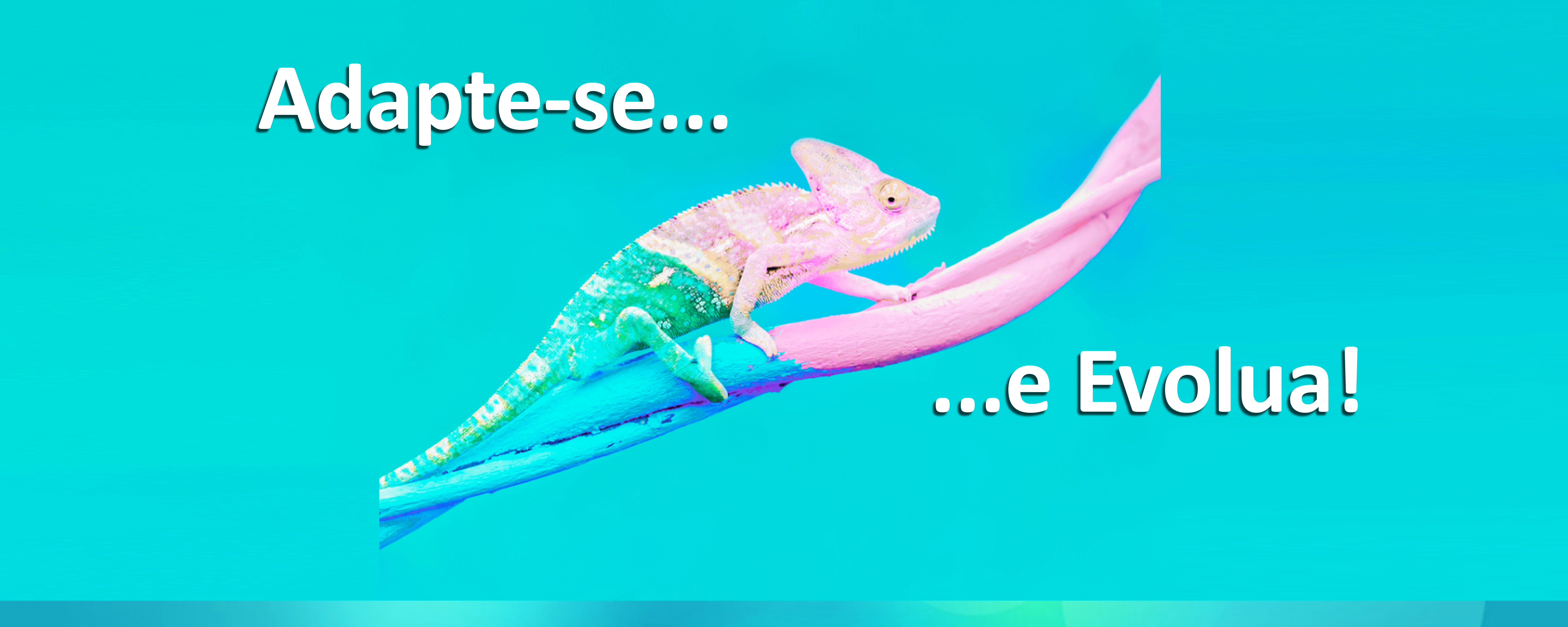 https://painel-grupoi9.codiehost.com.br/uploads/133909619690221782.png